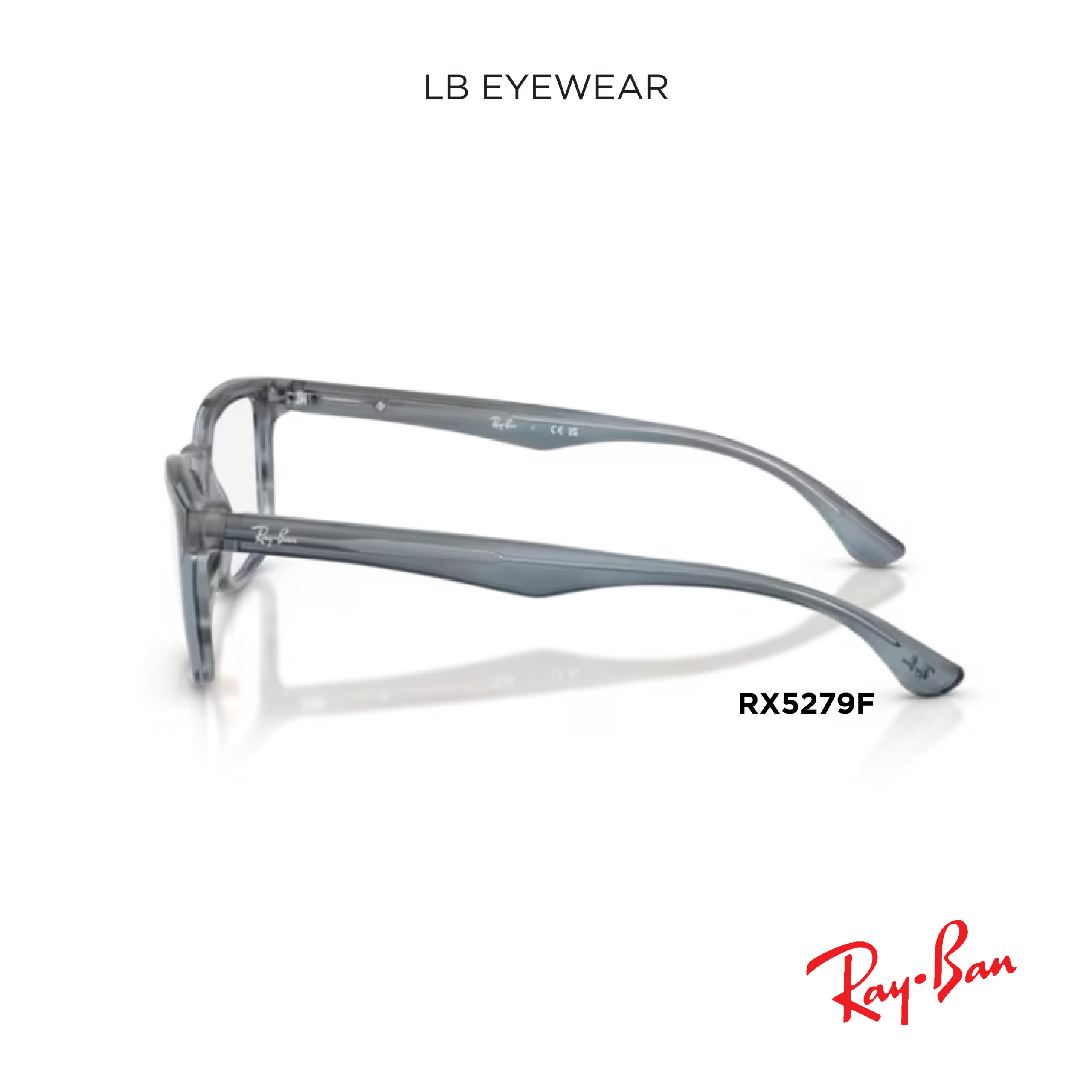 Ray Ban web 04 scaled 5