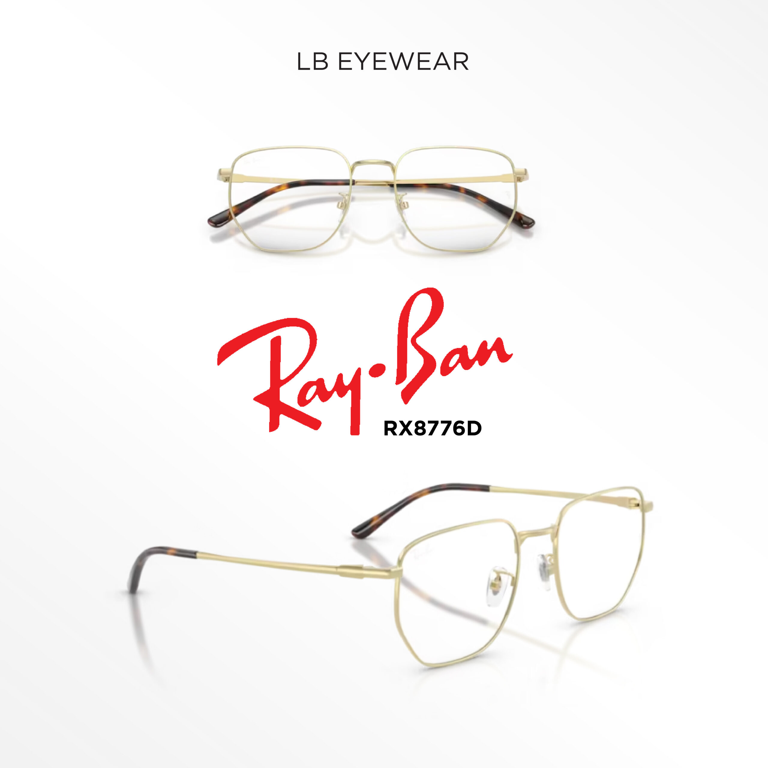 Ray Ban web 11 scaled 11