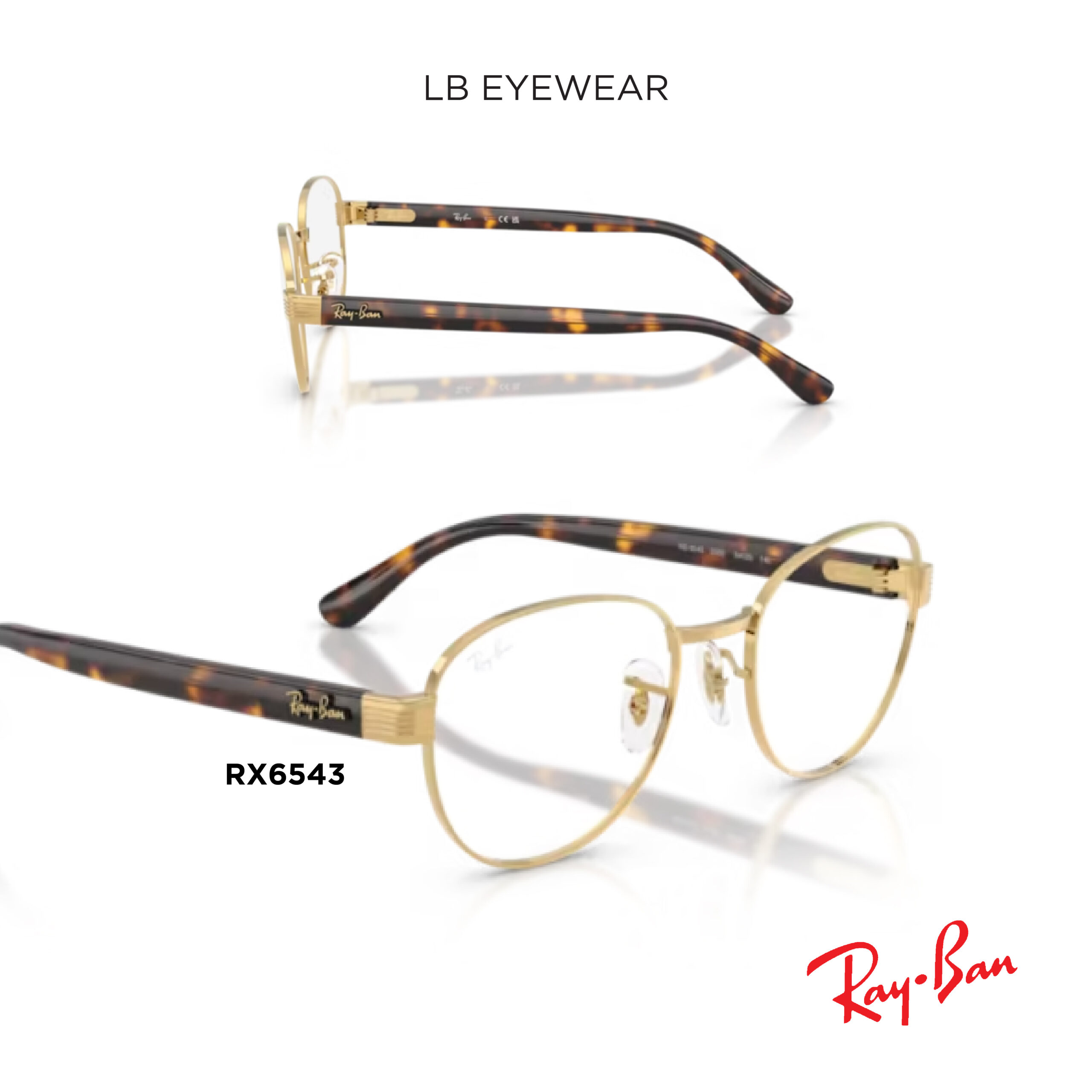 Ray Ban web 16 scaled 16