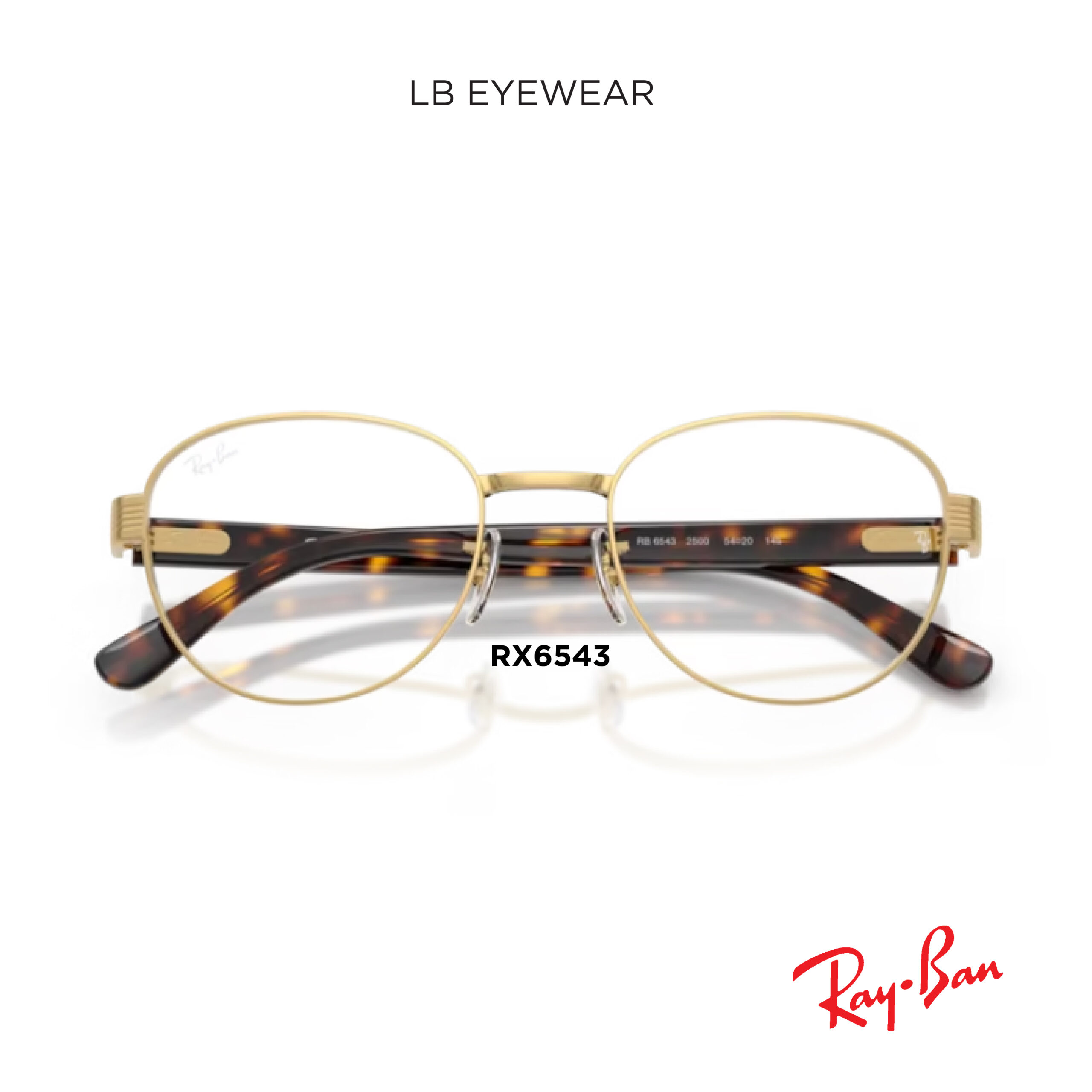 Ray Ban web 17 scaled 17