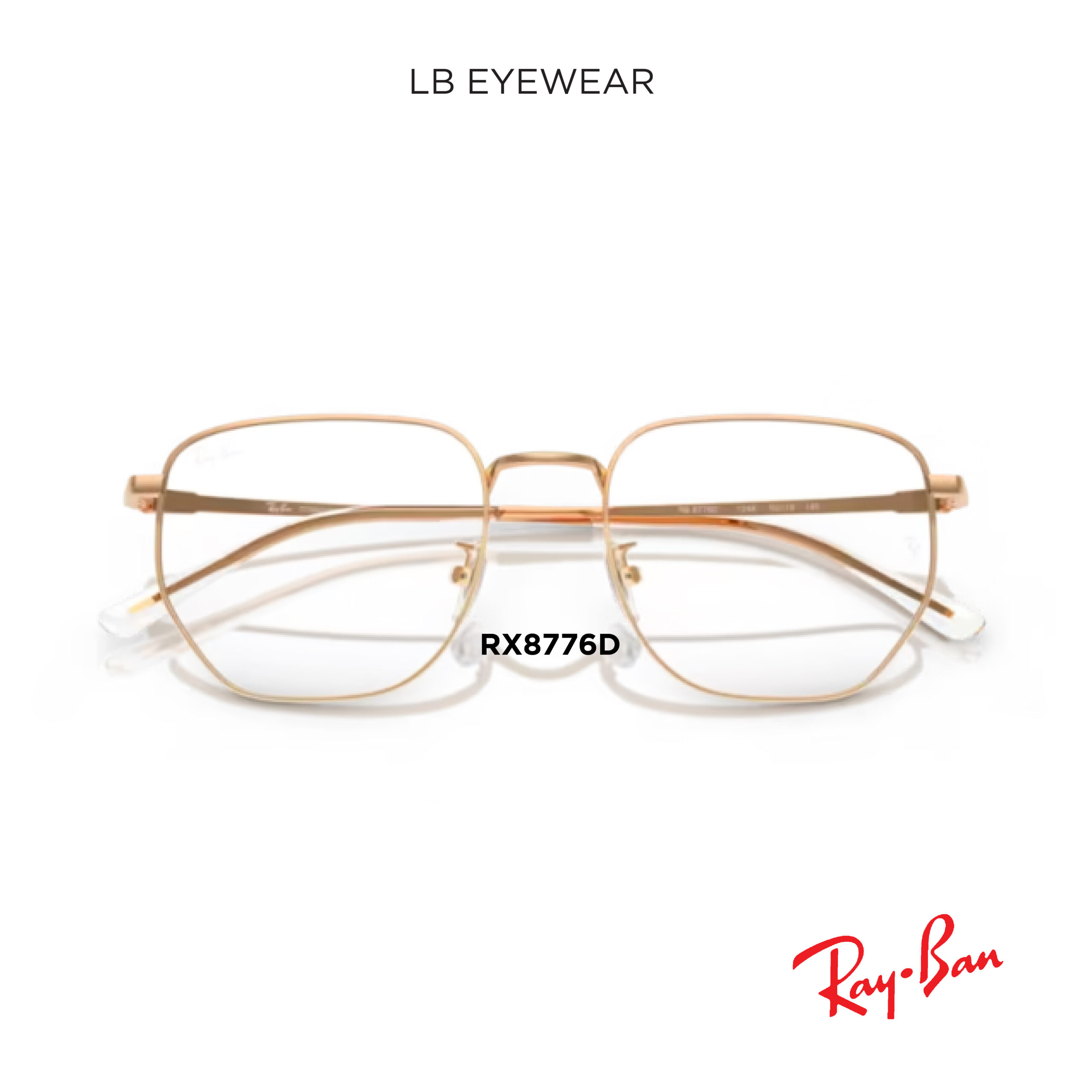 Ray Ban web 18 scaled 18