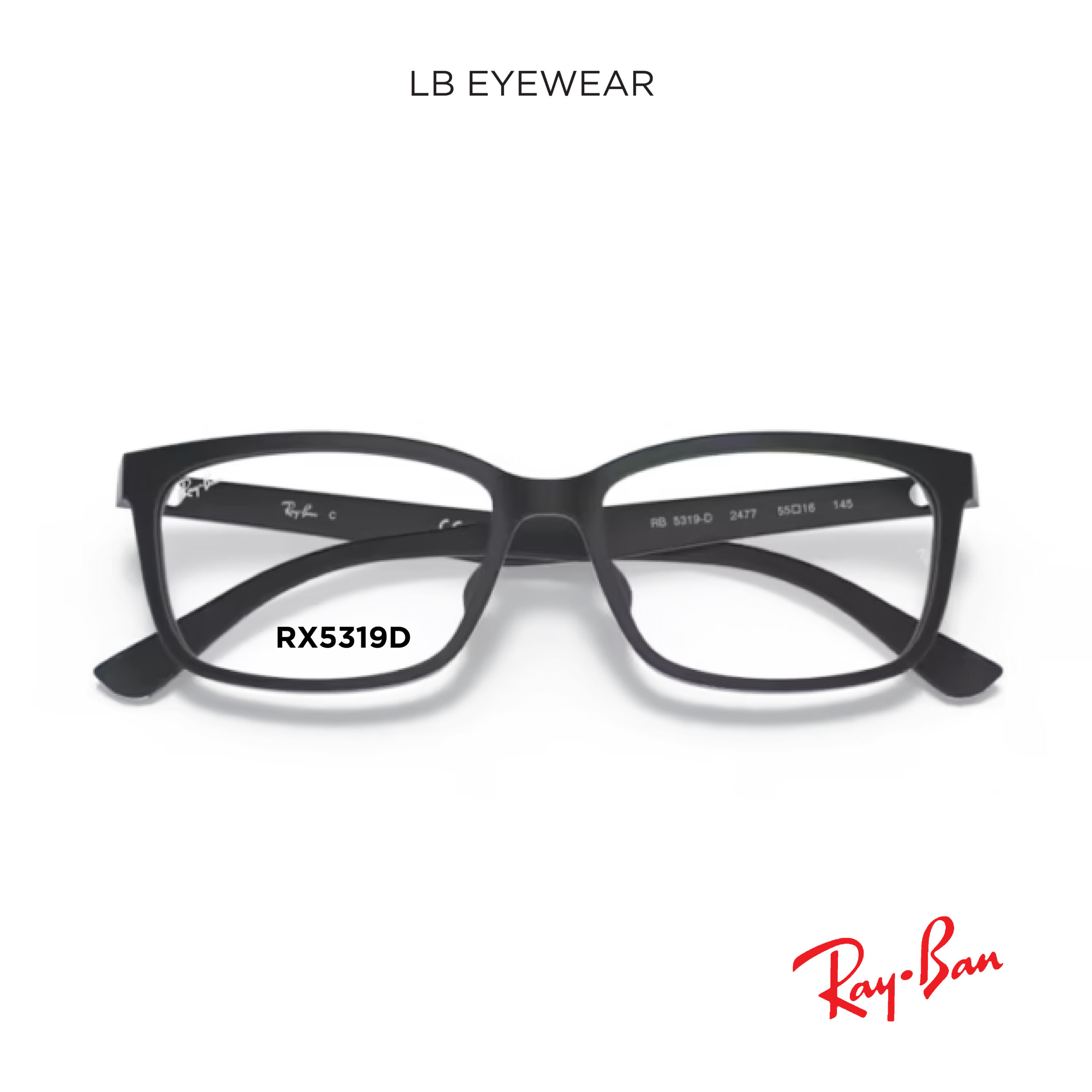Ray Ban web 22 scaled 22