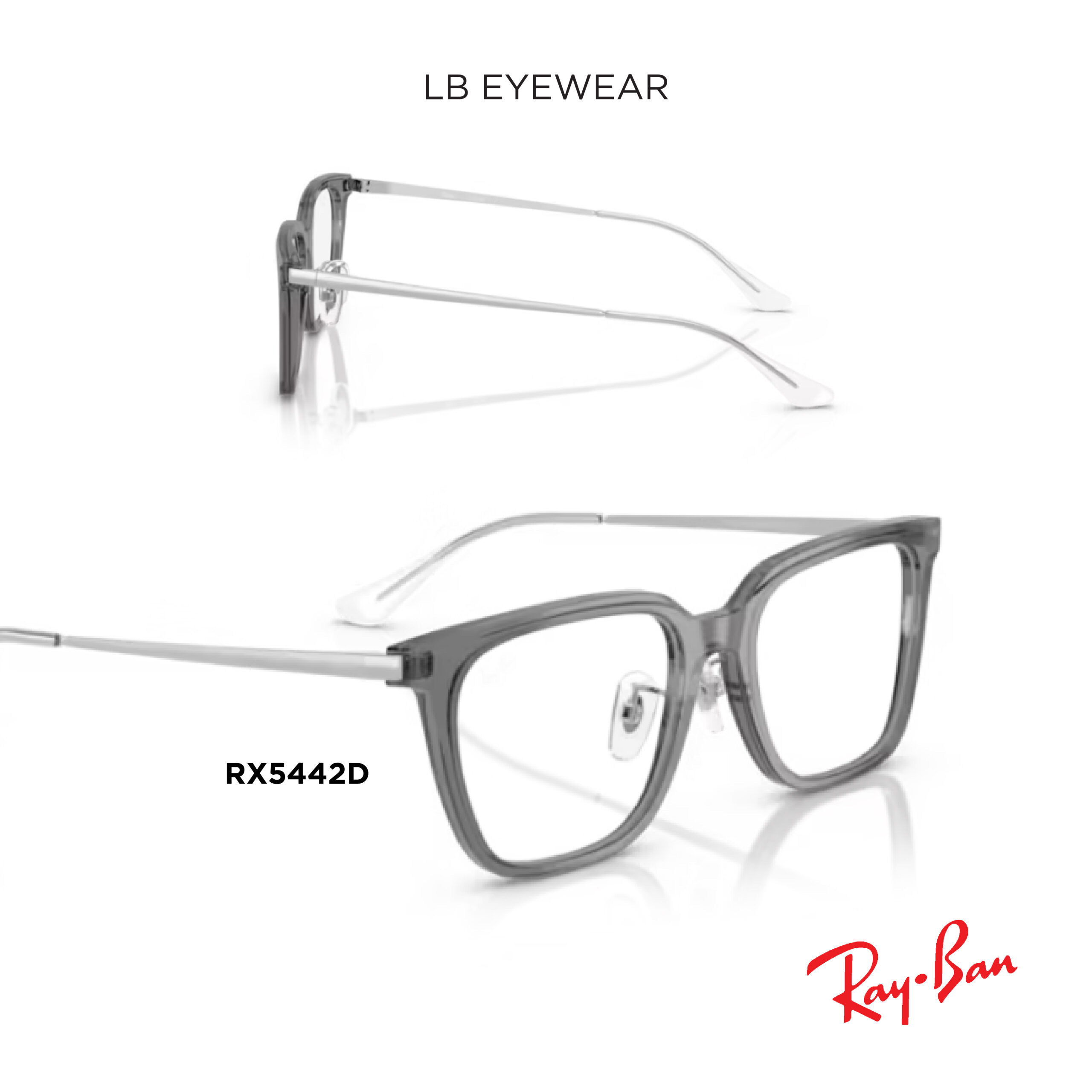 Ray Ban web 24 scaled 24