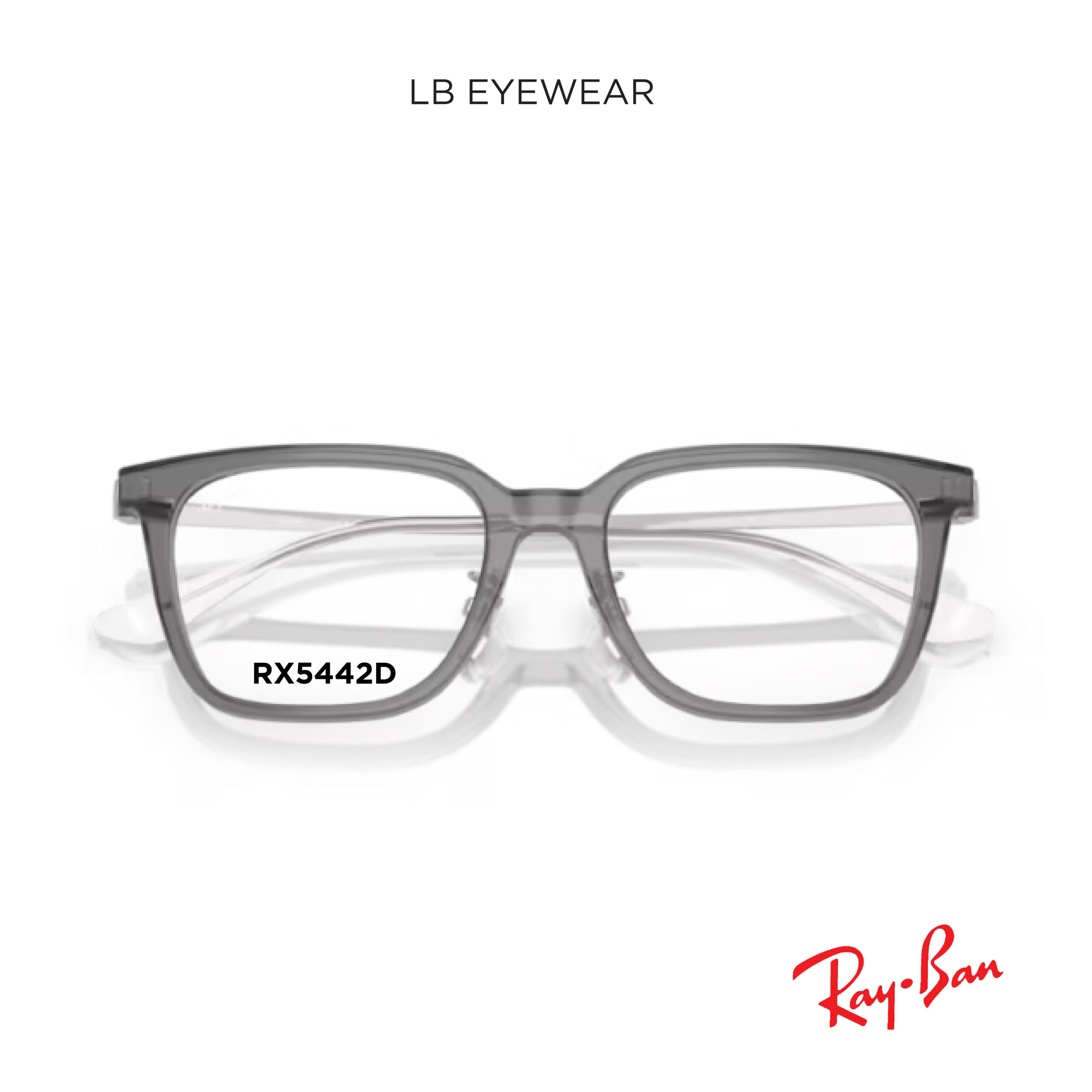 Ray Ban web 25 scaled 25