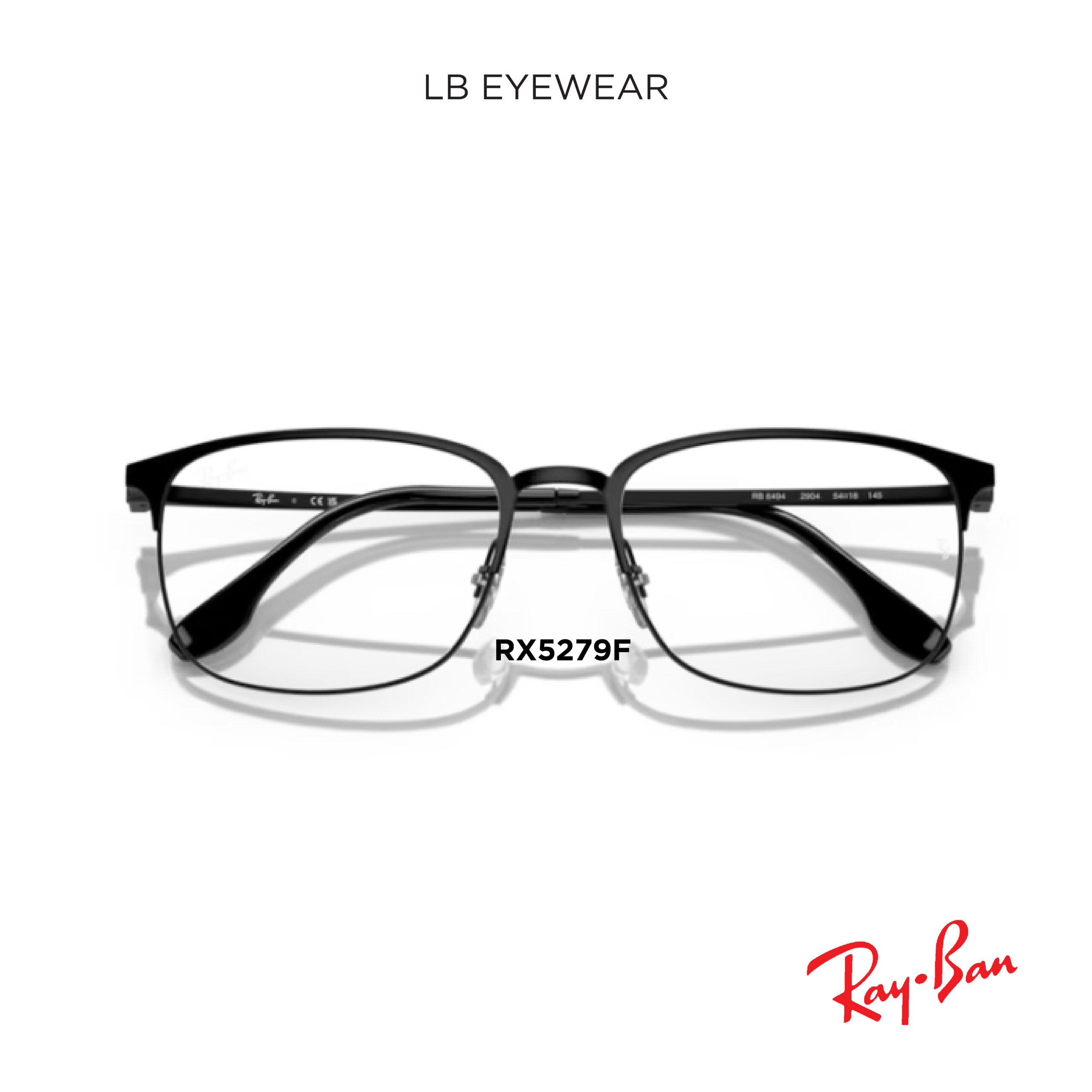 Ray Ban web 28 scaled 28