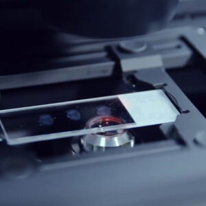 zeiss shaping future 4