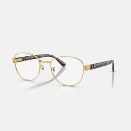 Gọng kính Ray-Ban Eyewear RX6543 (2500)