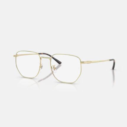 Gọng kính Ray-Ban Eyewear RX8776D (1251)