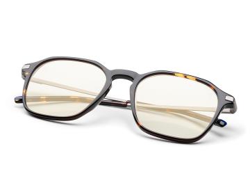 dvgold introduction 5