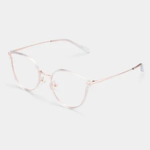 BH6003B93 Top45 0444 2000x 5