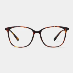 BJ3137B20 Front 1248 2000x 7