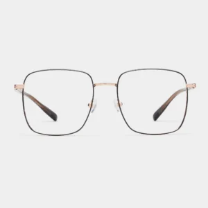 BJ7188B13 Front 0409 2000x 6