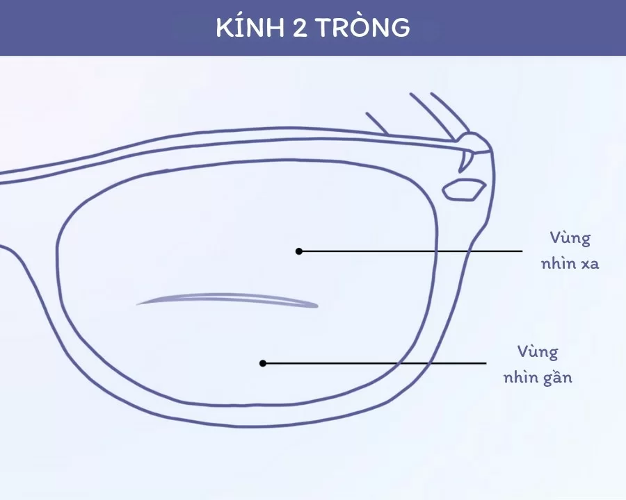 cấu tạo của kính hai tròng
